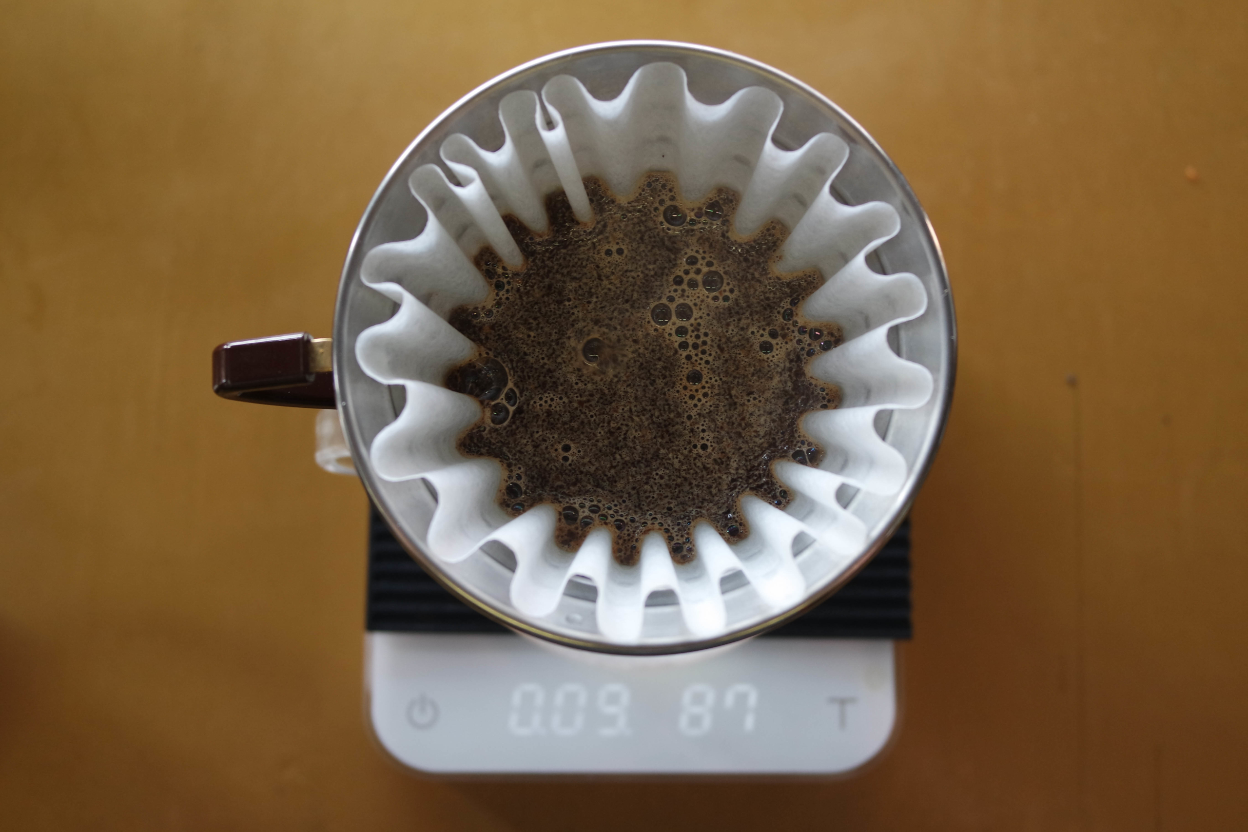 Coffee Blooming