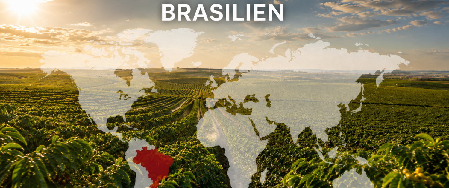 Kaffee aus Brasilien – Anbaugebiet Minas Gerais Kaffeeplantage in Minas Gerais in Brasilien mit Weltkarte und markiertem Anbauland