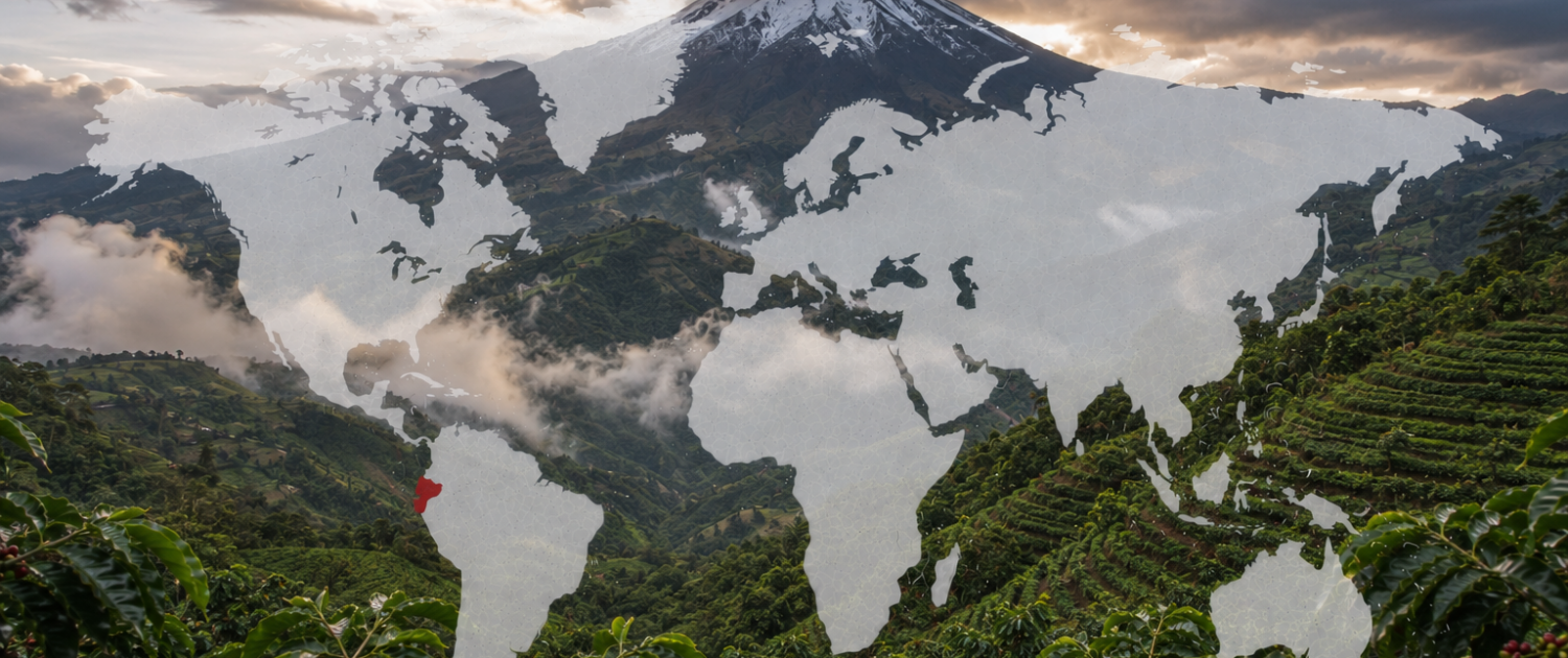 Kaffeeplantage in den Anden Ecuadors mit Weltkarte und markiertem Anbauland